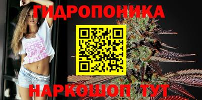 Альфа ПВП Усть-Илимск