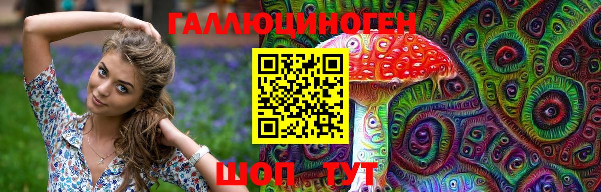 Псилоцибиновые грибы Cubensis Алушта